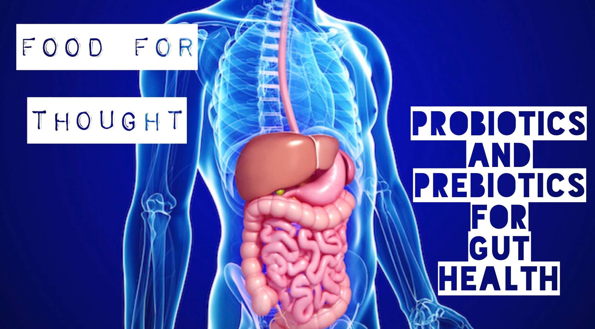 Food for Thought- Probiotics and Prebiotics for Gut Health