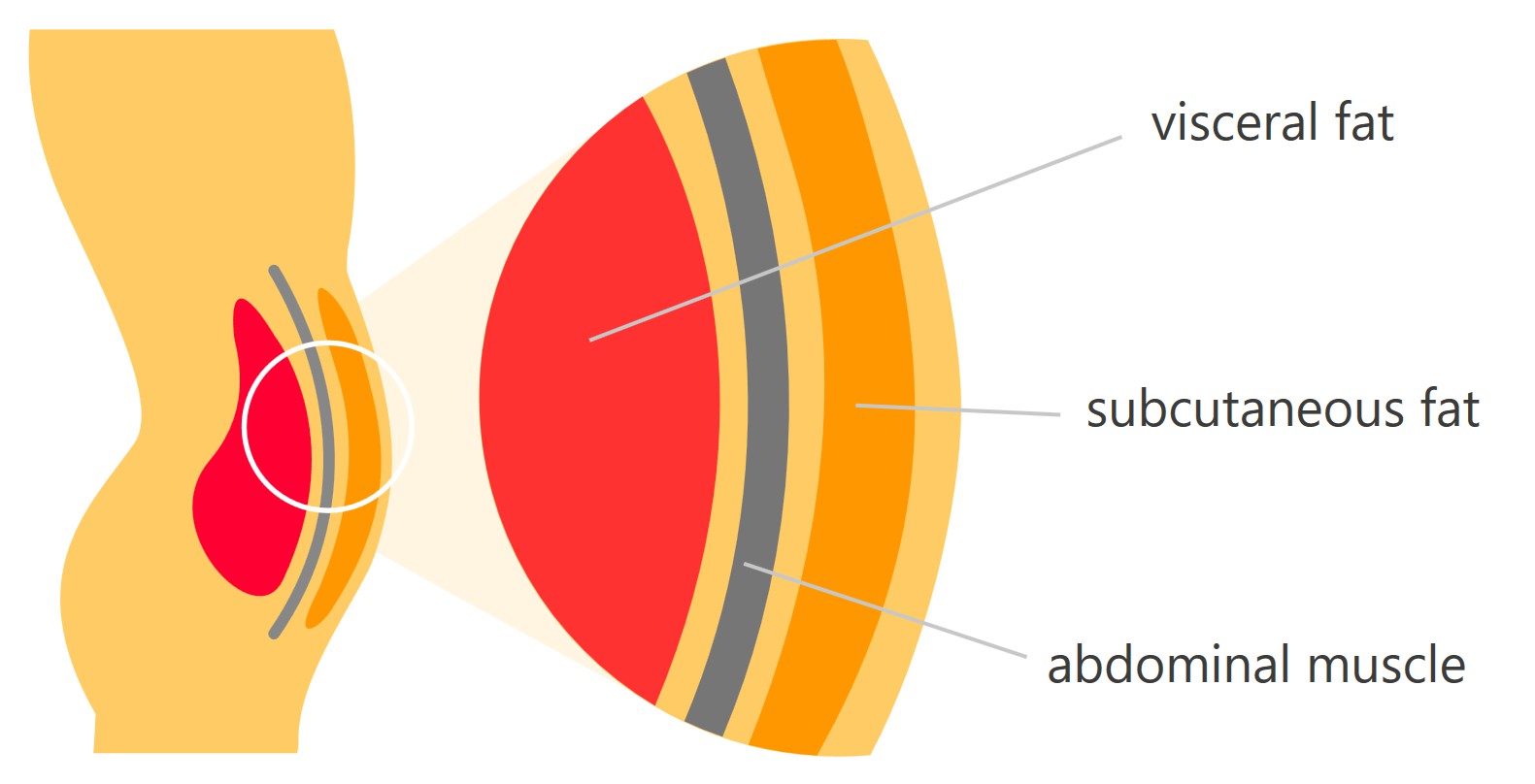 image from fqscore.com