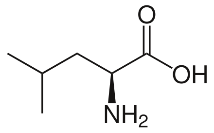 Leucine: A limiting factor in plant-based protein