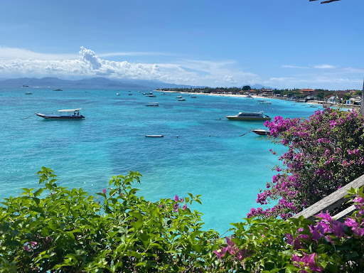 Bali Scenery