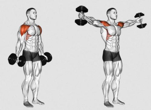 Scaption Exercise