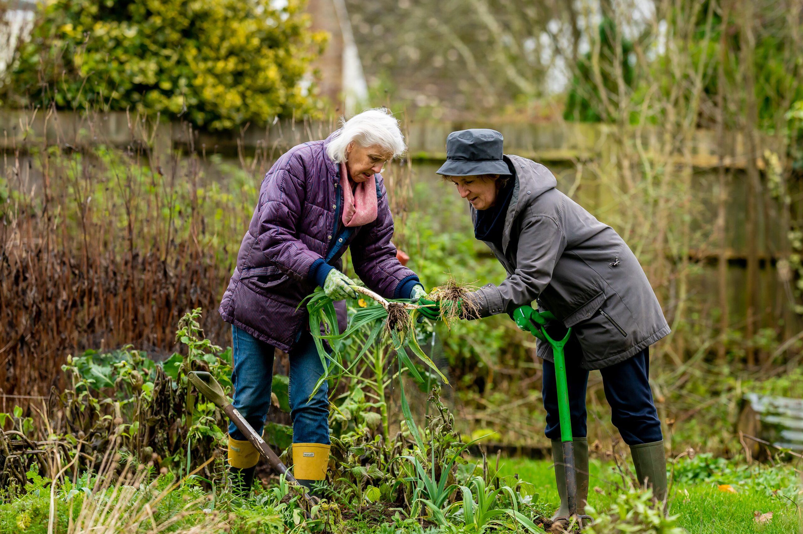 pexels-centre-for-ageing-better-7849457